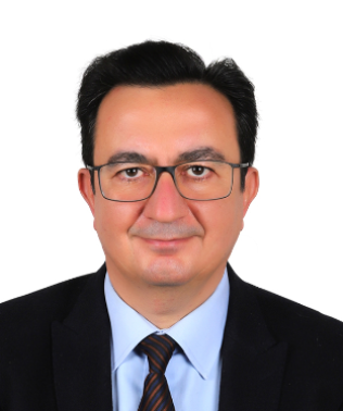 HALUK HADİ SÜMER