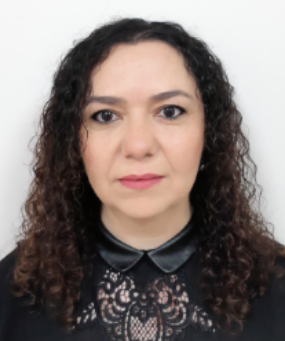 HÜLYA ÖZDEMİR