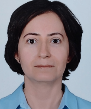 ARZU SUER