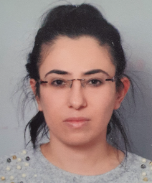 PERVİN SOYLU