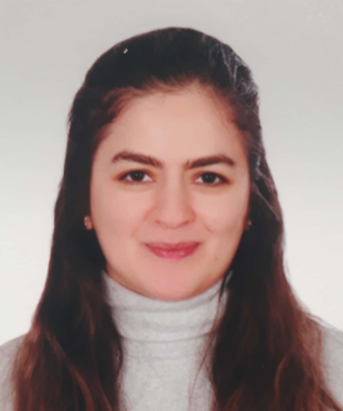 SEMA ARISOY