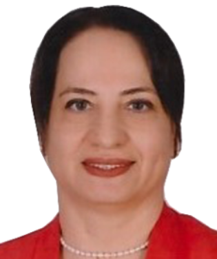HAMİDE ŞİŞMAN