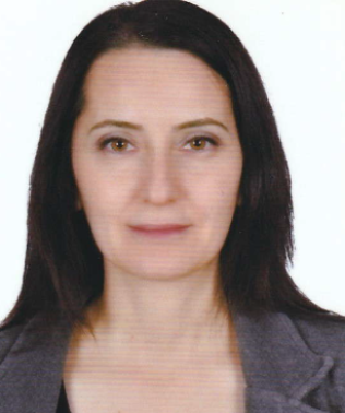 DEMET SEZER
