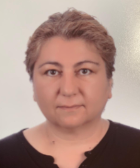 DENİZ SEVMEN