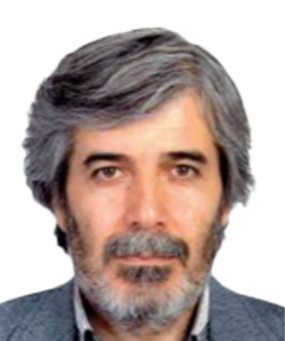 AHMET BOZDAM